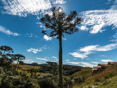 Serra Gaúcha